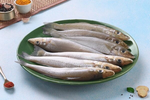 Lady Fish (Kane/Kilangan/Poovan) Small