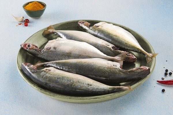 Premium Mackerel (Bangda/Kanangeluthi/Kanakatha/Aya