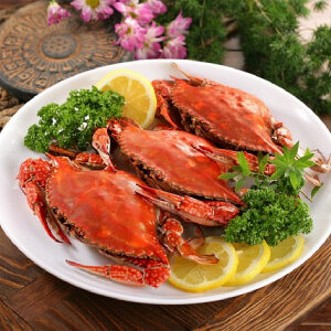 Three spotted Crab (Nandu/Kakda/Mukkan Nandu/Pottu Nandu/Njand)
